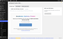 Page screenshot: LiteSpeed Cache &rarr; CDN