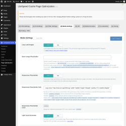 Page screenshot: LiteSpeed Cache &rarr; Page Optimization &rarr; Media Settings