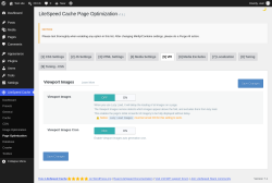 Page screenshot: LiteSpeed Cache &rarr; Page Optimization &rarr; VPI