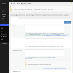 Page screenshot: LiteSpeed Cache &rarr; Page Optimization &rarr; Tuning - CSS