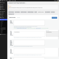 Page screenshot: LiteSpeed Cache &rarr; Page Optimization &rarr; Media Excludes