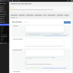 Page screenshot: LiteSpeed Cache &rarr; Page Optimization &rarr; Tuning - CSS