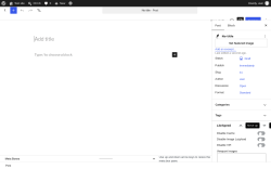 Page screenshot: Add Post &lsaquo; Test site &mdash; WordPress