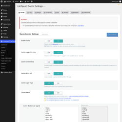 Page screenshot: LiteSpeed Cache &rarr; Cache
