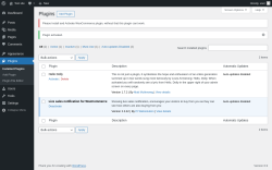 Page screenshot: Plugins &lsaquo; Test site &mdash; WordPress