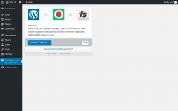Page screenshot: Live Scores for SportsPress ‹ Test site — WordPress