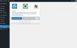 Page screenshot: Live Scores for SportsPress ‹ Test site — WordPress