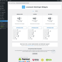 Page screenshot: Livemesh Widgets → Upgrade  ➤