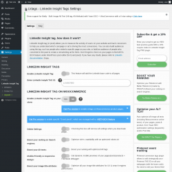 Page screenshot: Settings → Linkedin Insight Tag