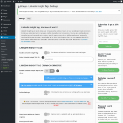 Page screenshot: Settings → Linkedin Insight Tag