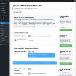 Page screenshot: Settings → Linkedin Insight Tag