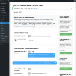 Page screenshot: Settings → Linkedin Insight Tag