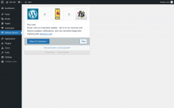 Page screenshot: Delivery Drivers Settings &lsaquo; Test site &mdash; WordPress