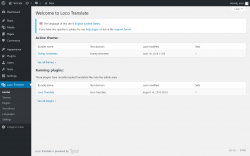 Page screenshot: Loco Translate