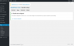 Page screenshot: Loco Translate &rarr; WordPress &rarr; 
            Setup 
        