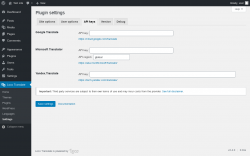 Page screenshot: Loco Translate &rarr; Settings &rarr; 
            API keys 
        