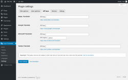 Page screenshot: Loco Translate &rarr; Settings &rarr; 
            API keys 
        