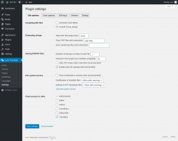 Page screenshot: Loco Translate &rarr; Settings
