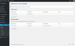 Page screenshot: Loco Translate