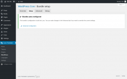 Page screenshot: Loco Translate &rarr; WordPress &rarr; 
            Setup 
        