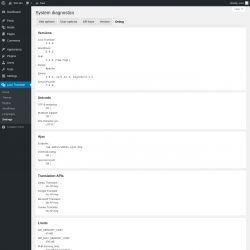 Page screenshot: Loco Translate &rarr; Settings &rarr; 
            Debug 
        