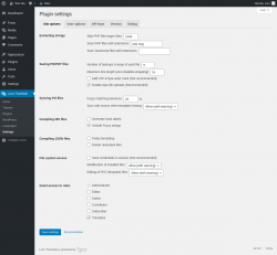 Page screenshot: Loco Translate &rarr; Settings