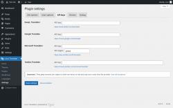 Page screenshot: Loco Translate &rarr; Settings &rarr; 
            API keys 
        