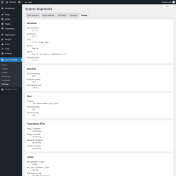 Page screenshot: Loco Translate &rarr; Settings &rarr; 
            Debug 
        