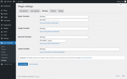 Page screenshot: Loco Translate &rarr; Settings &rarr; 
            API keys 
        