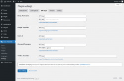 Page screenshot: Loco Translate &rarr; Settings &rarr; 
            API keys 
        
