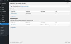 Page screenshot: Loco Translate