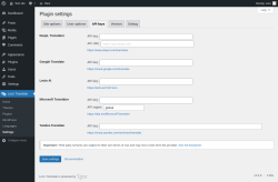 Page screenshot: Loco Translate &rarr; Settings &rarr; 
            API keys 
        