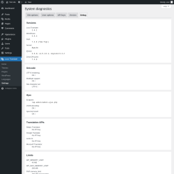 Page screenshot: Loco Translate &rarr; Settings &rarr; 
            Debug 
        