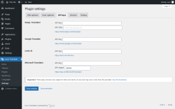 Page screenshot: Loco Translate &rarr; Settings &rarr; 
            API keys 
        
