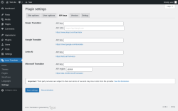Page screenshot: Loco Translate &rarr; Settings &rarr; 
            API keys 
        