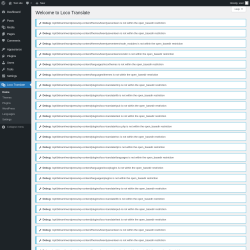 Page screenshot: Loco Translate