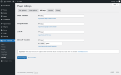 Page screenshot: Loco Translate &rarr; Settings &rarr; 
            API keys 
        