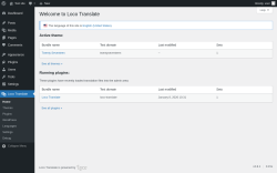 Page screenshot: Loco Translate