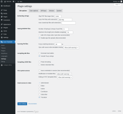 Page screenshot: Loco Translate &rarr; Settings