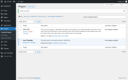 Page screenshot: Plugins &lsaquo; Test site &mdash; WordPress