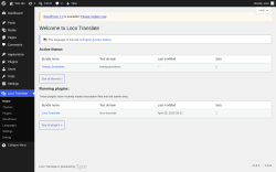 Page screenshot: Loco Translate