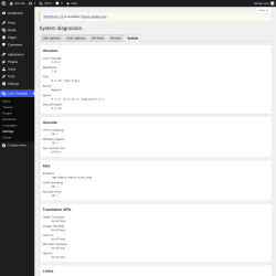 Page screenshot: Loco Translate &rarr; Settings &rarr; 
            System 
        