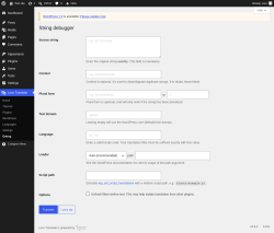 Page screenshot: Loco Translate &rarr; Debug