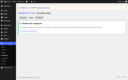 Page screenshot: Loco Translate &rarr; WordPress &rarr; 
            Setup 
        