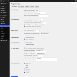 Page screenshot: Loco Translate &rarr; Settings