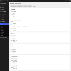 Page screenshot: Loco Translate &rarr; Settings &rarr; 
            System 
        