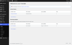 Page screenshot: Loco Translate