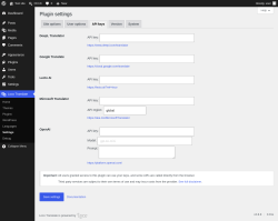 Page screenshot: Loco Translate &rarr; Settings &rarr; 
            API keys 
        