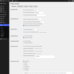 Page screenshot: Loco Translate &rarr; Settings
