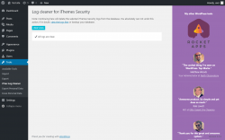 Page screenshot: Tools → ITSec Log Cleaner